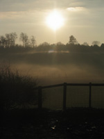 Mist over Delamere Forest 2