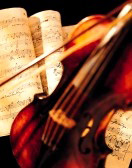 violin